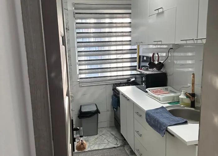 Targ Craciun Craiova